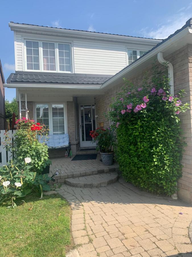 多伦多 Big Oasis Studio Near Airport Yyz酒店 外观 照片